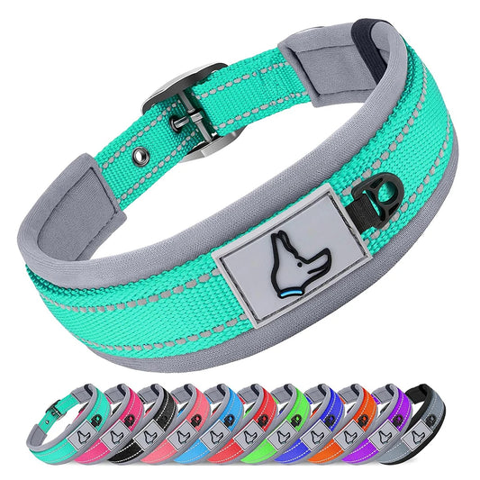 Collier bleu pour chien